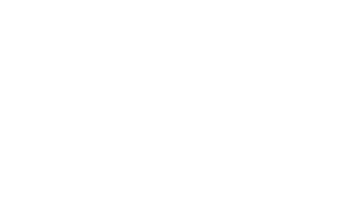 Janome